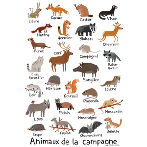 Animaux de la campagne