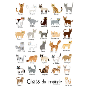 Chats du monde