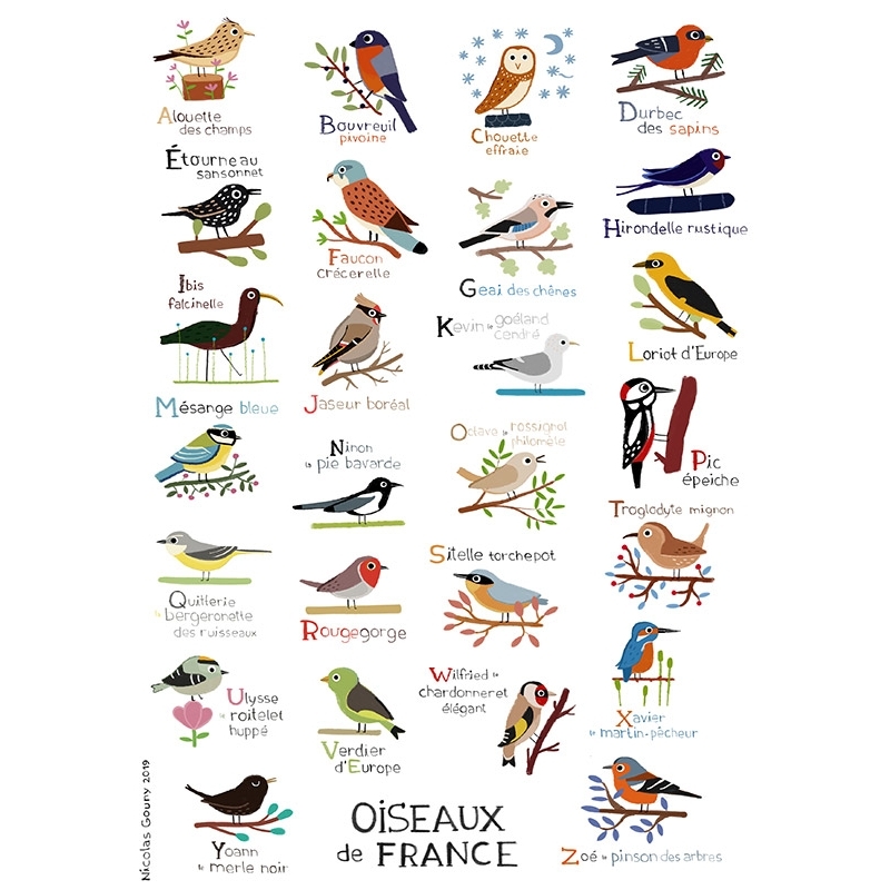 Affichette Abecedaire Des Oiseaux De France