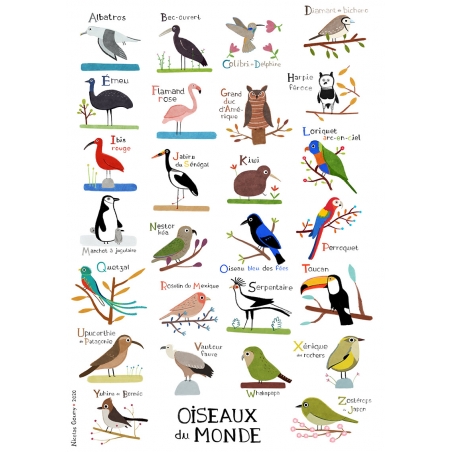 Abécédaire Des Oiseaux Du Monde