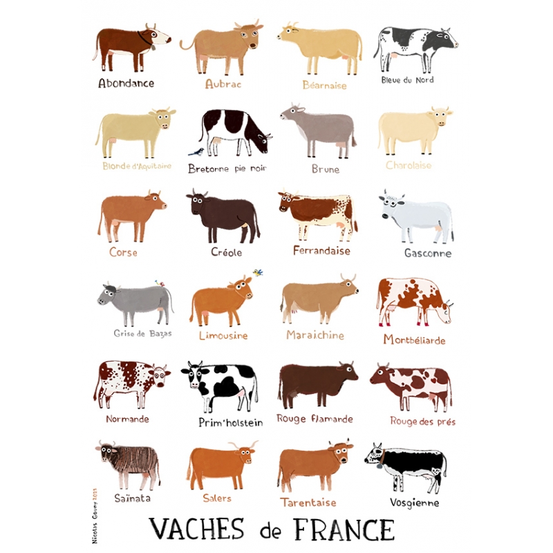 Print Cows from France