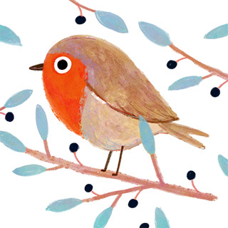 Pretty robin